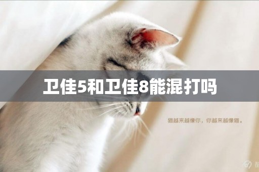 衛佳5和衛佳8能混打嗎