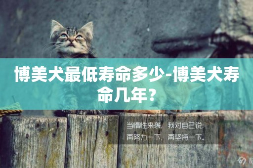 博美犬最低壽命多少-博美犬壽命幾年？