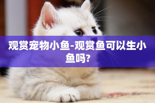 觀賞寵物小魚-觀賞魚可以生小魚嗎?