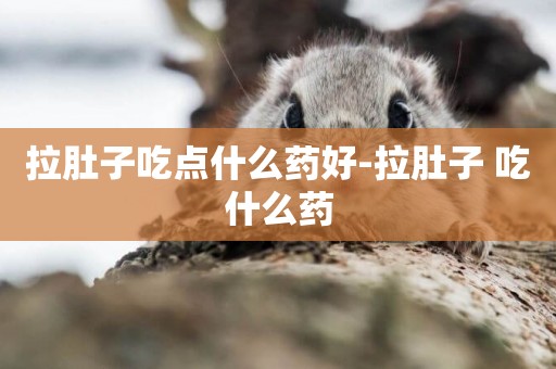 拉肚子吃點什么藥好-拉肚子 吃什么藥