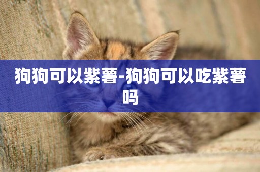 狗狗可以紫薯-狗狗可以吃紫薯嗎