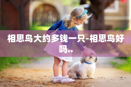 相思鳥大約多錢一只-相思鳥好嗎..