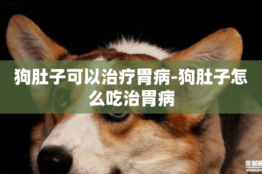 狗肚子可以治療胃病-狗肚子怎么吃治胃病