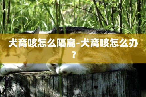 犬窩咳怎么隔離-犬窩咳怎么辦？