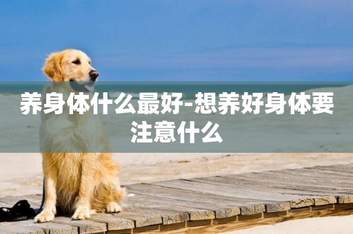 養身體什么最好-想養好身體要注意什么