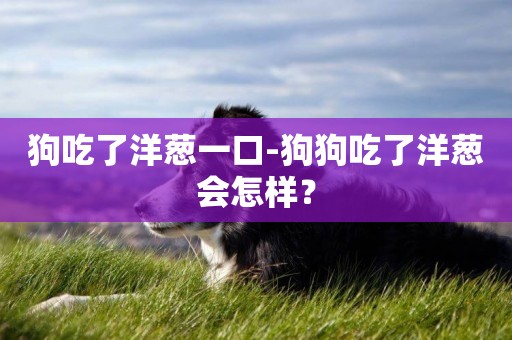 狗吃了洋蔥一口-狗狗吃了洋蔥會怎樣？