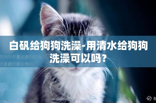 白礬給狗狗洗澡-用清水給狗狗洗澡可以嗎？