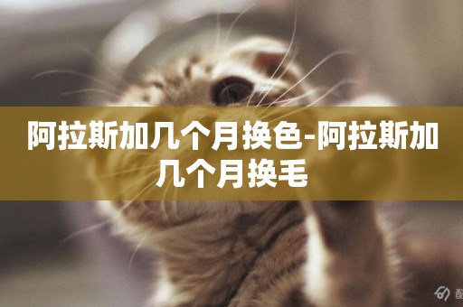 阿拉斯加幾個月換色-阿拉斯加幾個月換毛