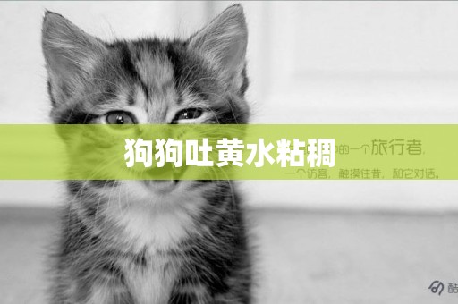 狗狗吐黃水粘稠