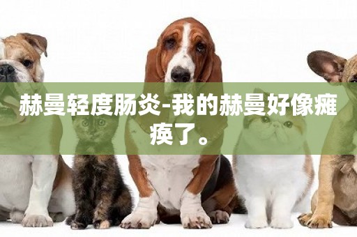 赫曼輕度腸炎-我的赫曼好像癱瘓了。