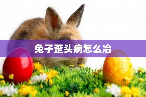 兔子歪頭病怎么冶