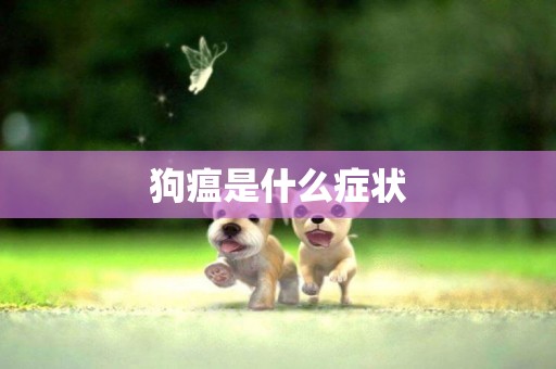 狗瘟是什么癥狀