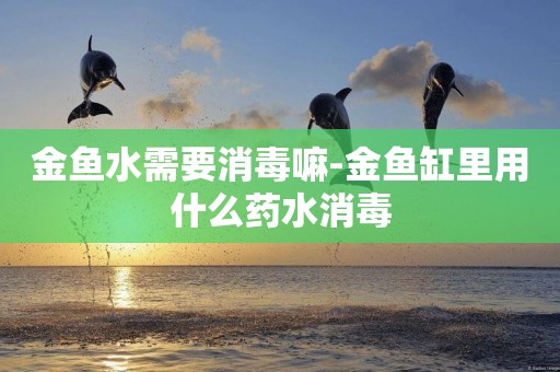 金魚水需要消毒嘛-金魚缸里用什么藥水消毒