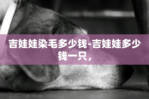 吉娃娃染毛多少錢-吉娃娃多少錢一只，