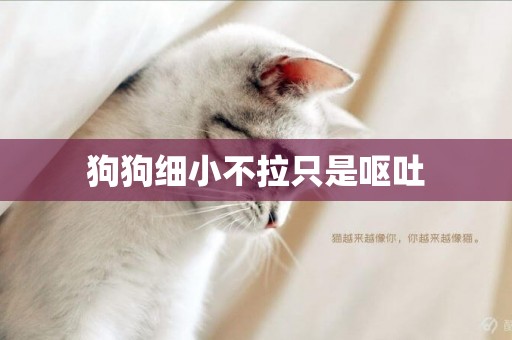 狗狗細小不拉只是嘔吐