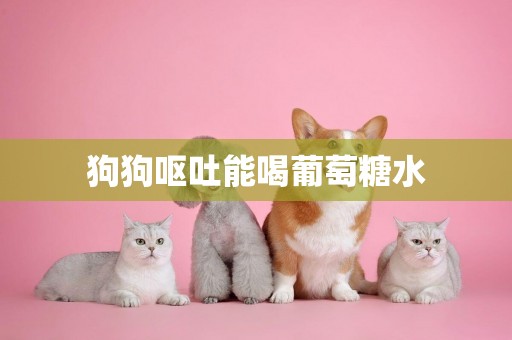 狗狗嘔吐能喝葡萄糖水