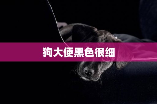狗大便黑色很細