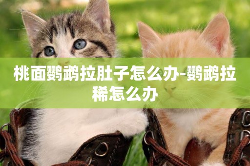 桃面鸚鵡拉肚子怎么辦-鸚鵡拉稀怎么辦