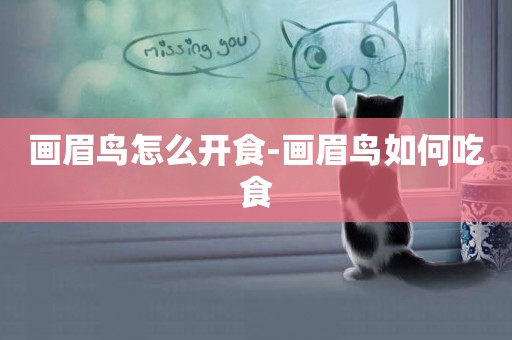 畫眉鳥怎么開食-畫眉鳥如何吃食