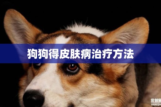 狗狗得皮膚病治療方法
