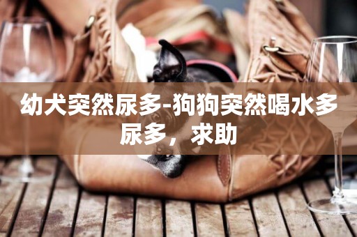 幼犬突然尿多-狗狗突然喝水多尿多，求助