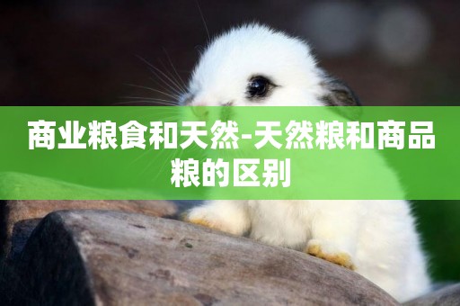 商業糧食和天然-天然糧和商品糧的區別