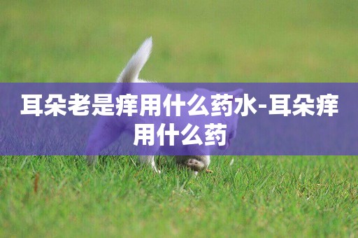 耳朵老是癢用什么藥水-耳朵癢用什么藥