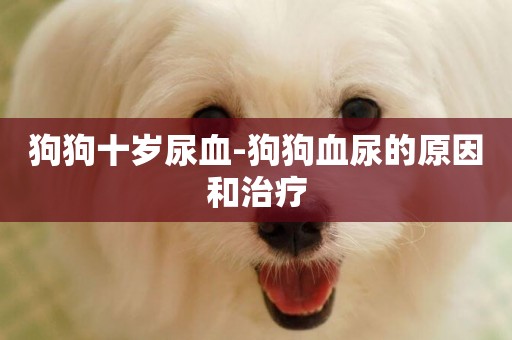 狗狗十歲尿血-狗狗血尿的原因和治療