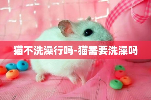 貓不洗澡行嗎-貓需要洗澡嗎
