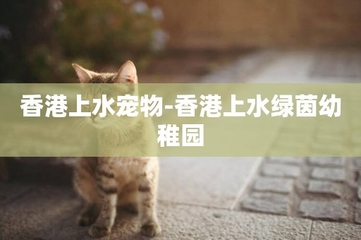 香港上水寵物-香港上水綠茵幼稚園