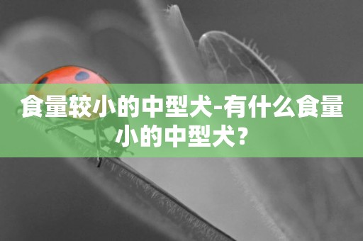 食量較小的中型犬-有什么食量小的中型犬？
