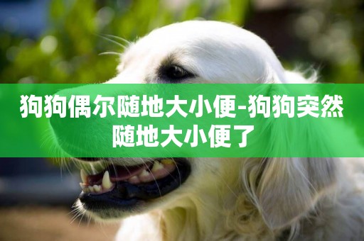 狗狗偶爾隨地大小便-狗狗突然隨地大小便了