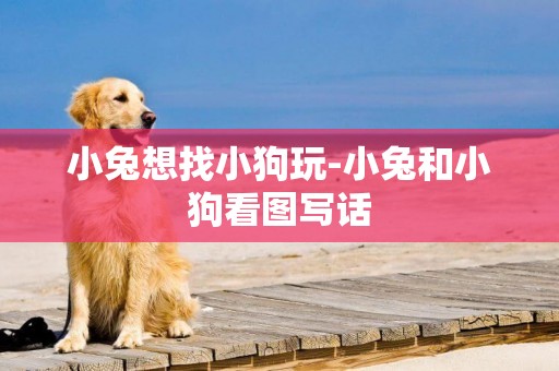 小兔想找小狗玩-小兔和小狗看圖寫話