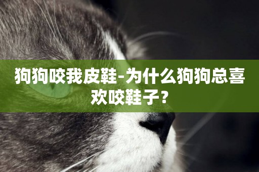 狗狗咬我皮鞋-為什么狗狗總喜歡咬鞋子？
