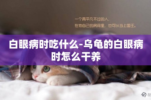 白眼病時吃什么-烏龜的白眼病時怎么干養