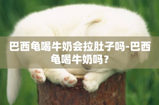 巴西龜喝牛奶會拉肚子嗎-巴西龜喝牛奶嗎？