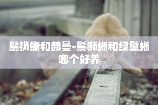 鬃獅蜥和赫曼-鬃獅蜥和綠鬣蜥哪個好養