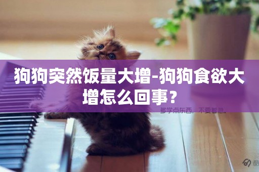 狗狗突然飯量大增-狗狗食欲大增怎么回事？
