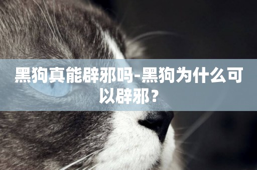 黑狗真能辟邪嗎-黑狗為什么可以辟邪？