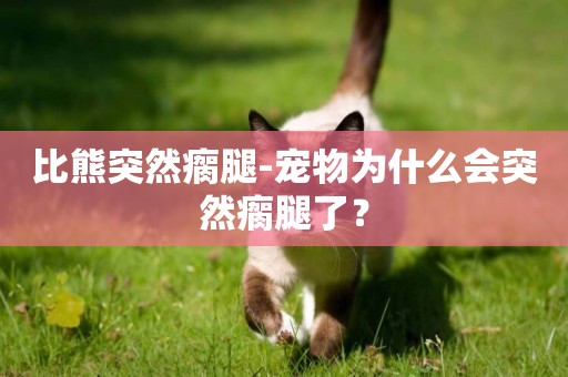 比熊突然瘸腿-寵物為什么會突然瘸腿了？