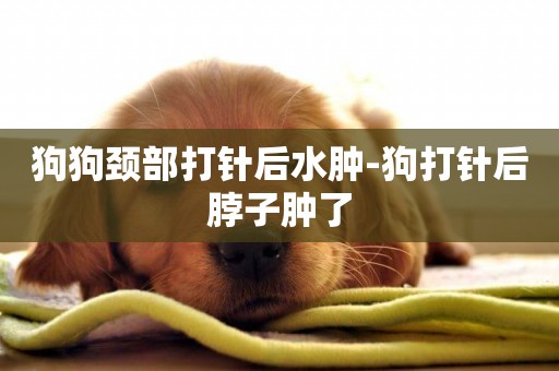 狗狗頸部打針后水腫-狗打針后脖子腫了