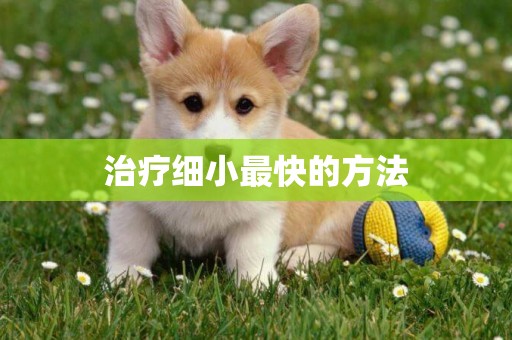 治療細小最快的方法