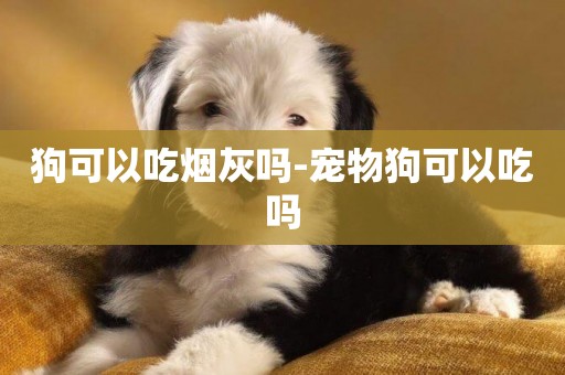 狗可以吃煙灰嗎-寵物狗可以吃嗎
