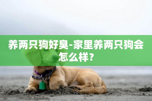 養兩只狗好臭-家里養兩只狗會怎么樣？