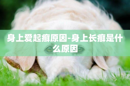 身上愛起癬原因-身上長癬是什么原因