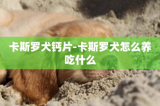 卡斯羅犬鈣片-卡斯羅犬怎么養吃什么