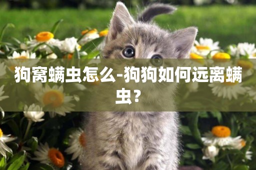 狗窩螨蟲怎么-狗狗如何遠離螨蟲？
