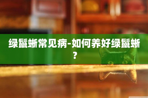 綠鬣蜥常見病-如何養好綠鬣蜥？