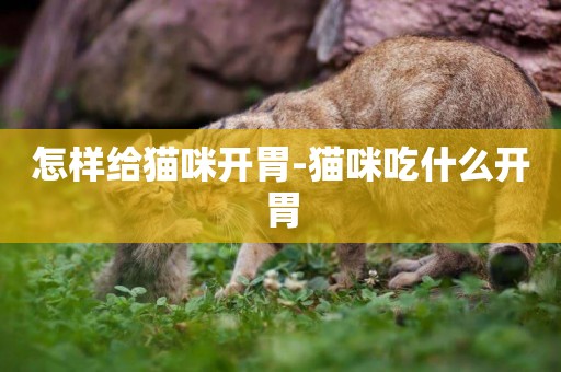 怎樣給貓咪開胃-貓咪吃什么開胃