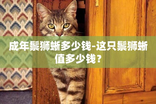 成年鬃獅蜥多少錢-這只鬃獅蜥值多少錢？